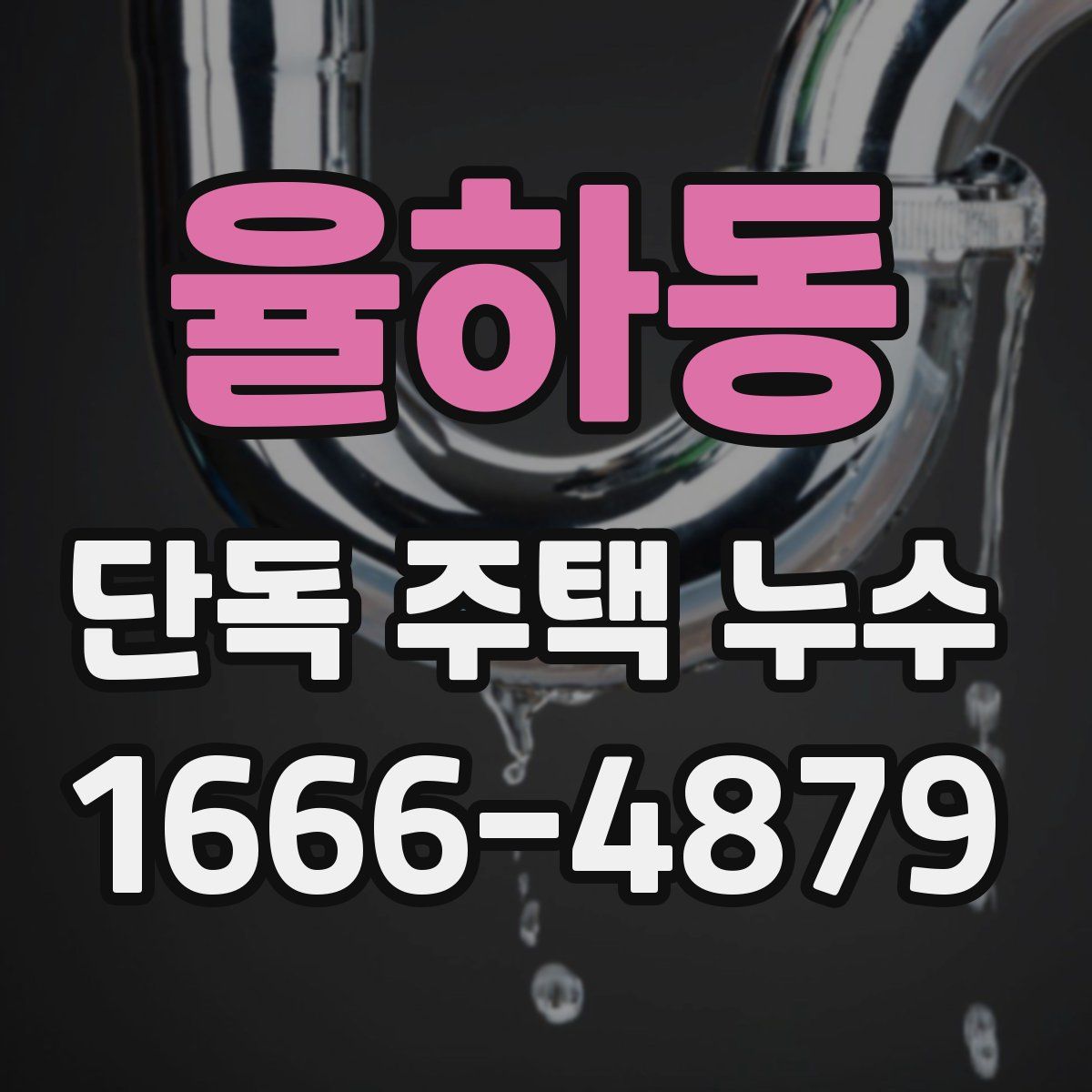 율하동 단독 주택 누수