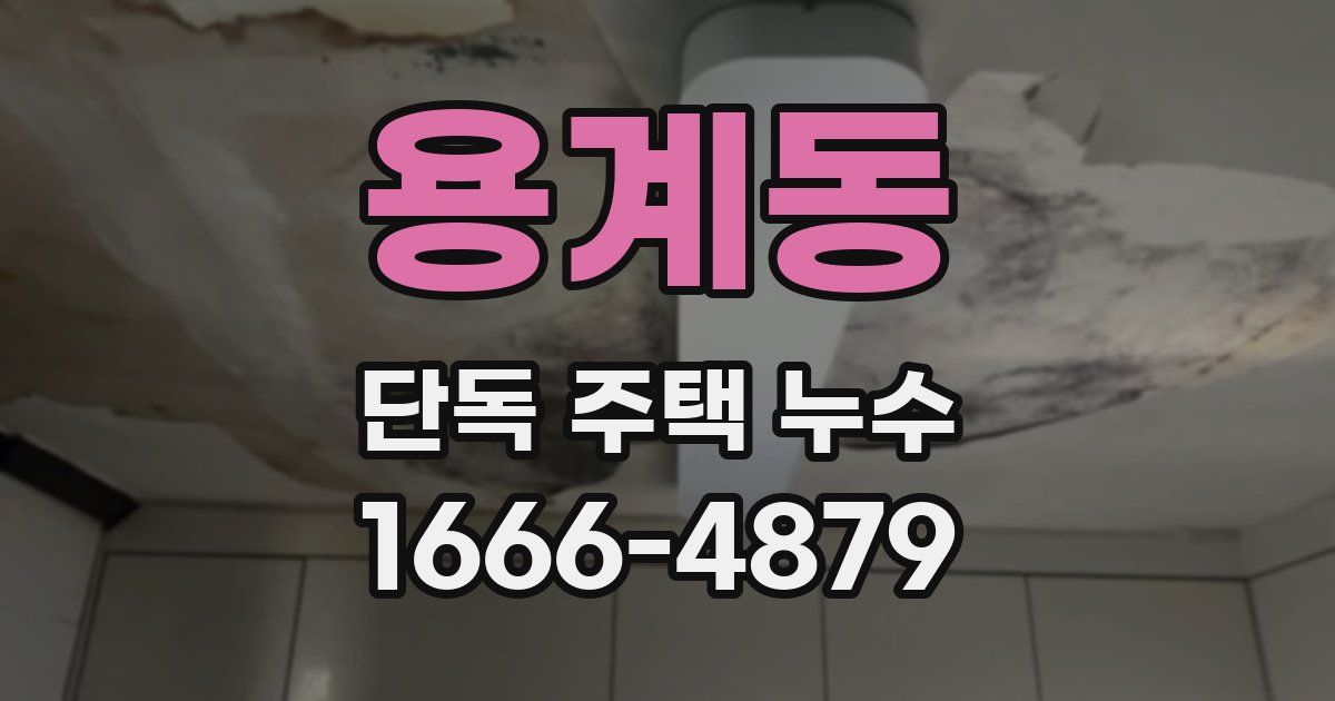 용계동 단독 주택 누수