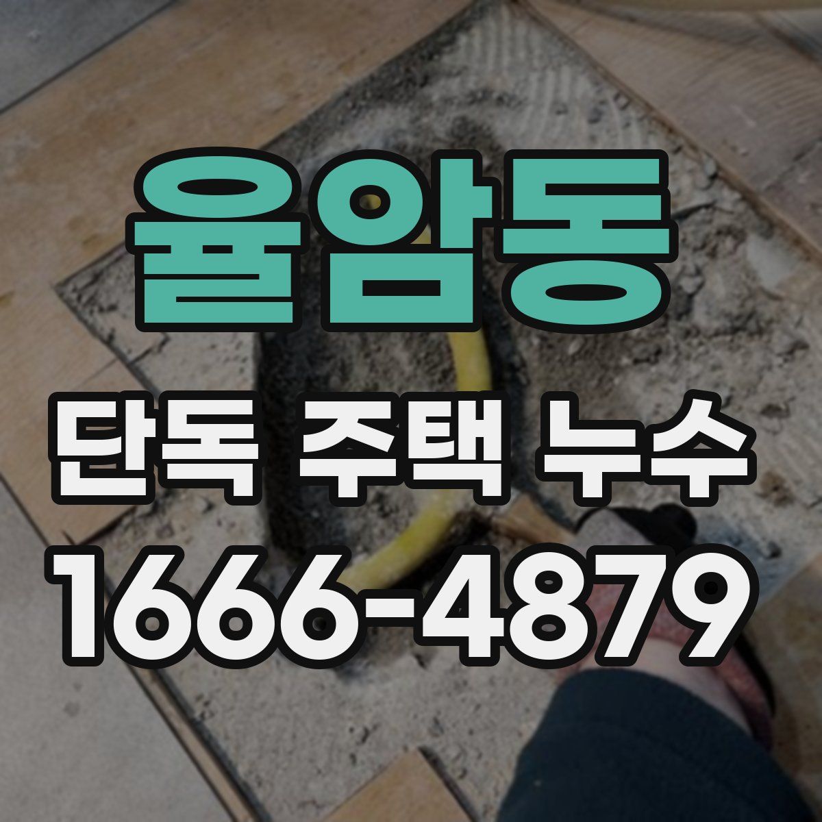 율암동 단독 주택 누수