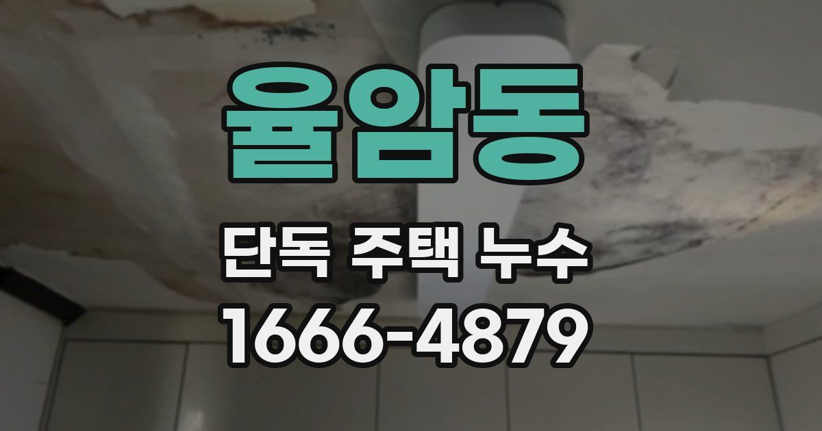 율암동 단독 주택 누수