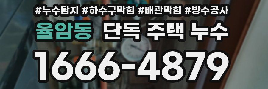 율암동 단독 주택 누수