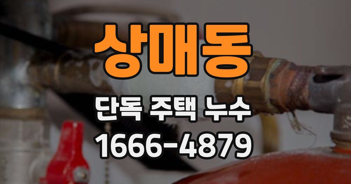 상매동 단독 주택 누수
