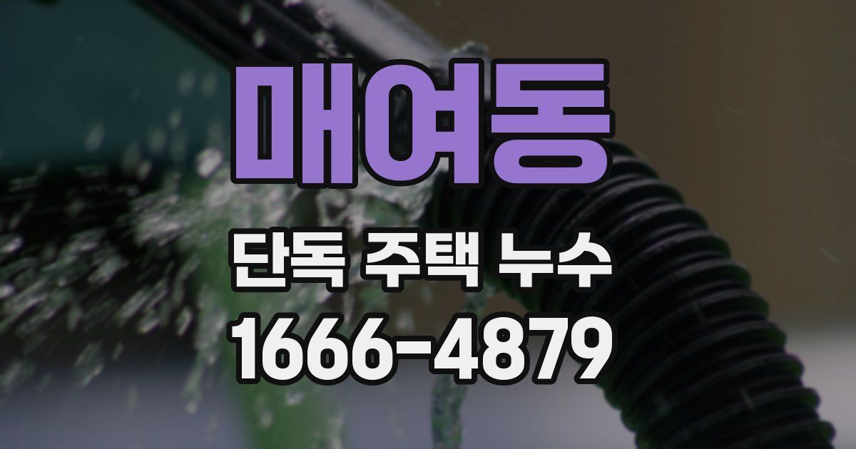 매여동 단독 주택 누수