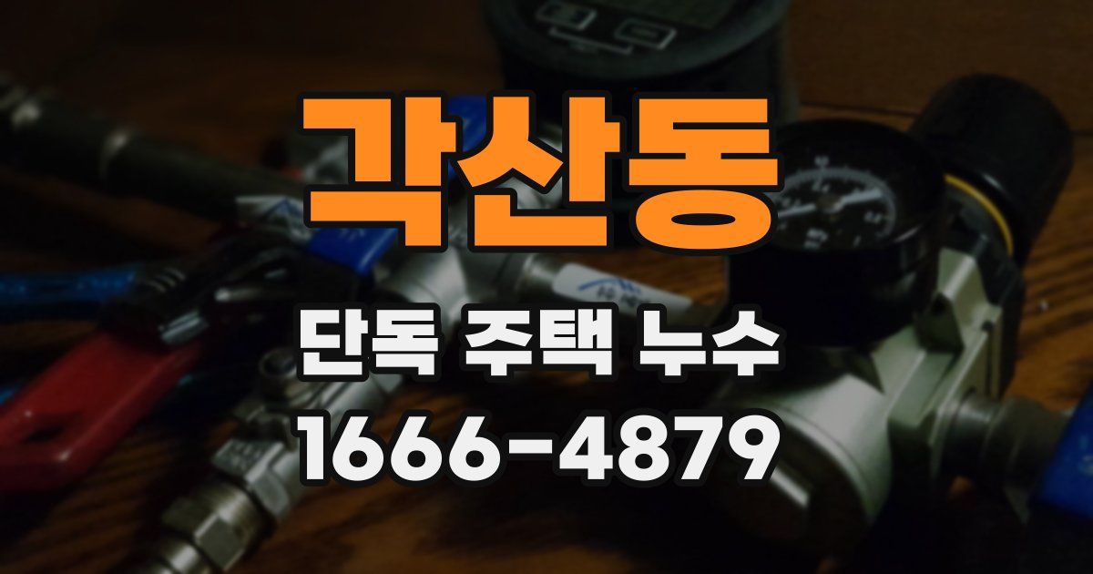 각산동 단독 주택 누수