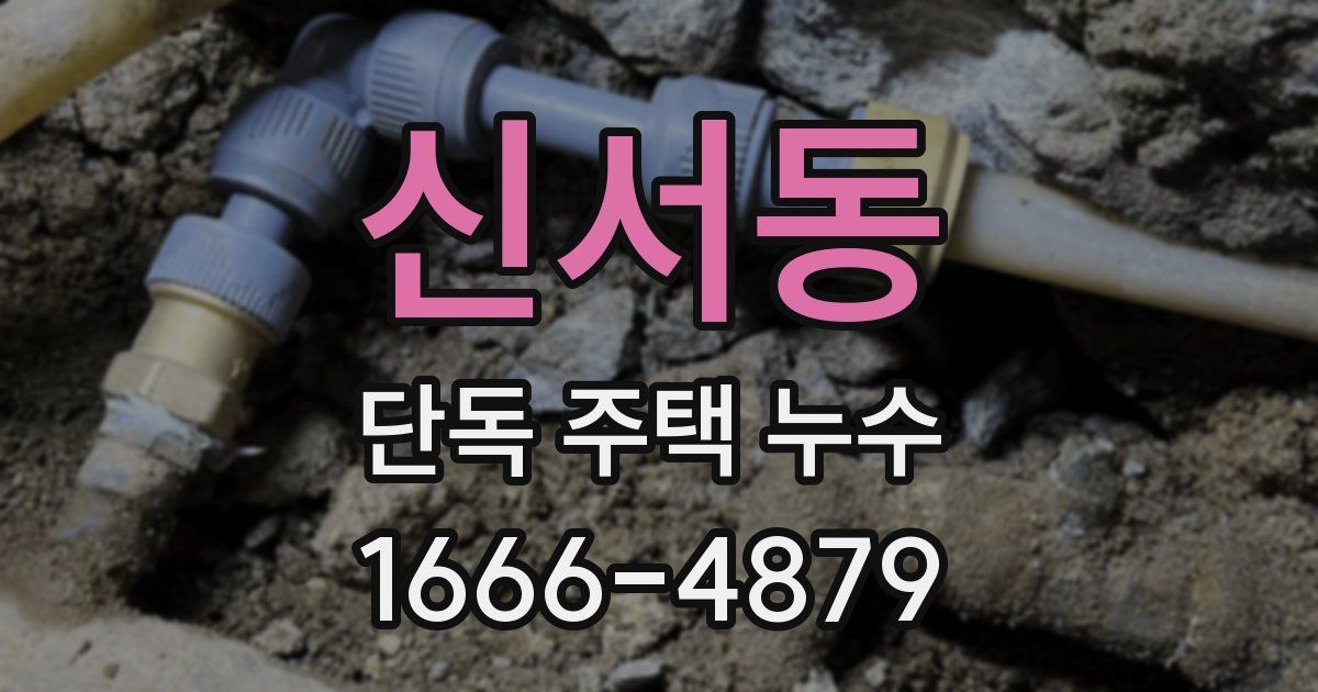 신서동 단독 주택 누수