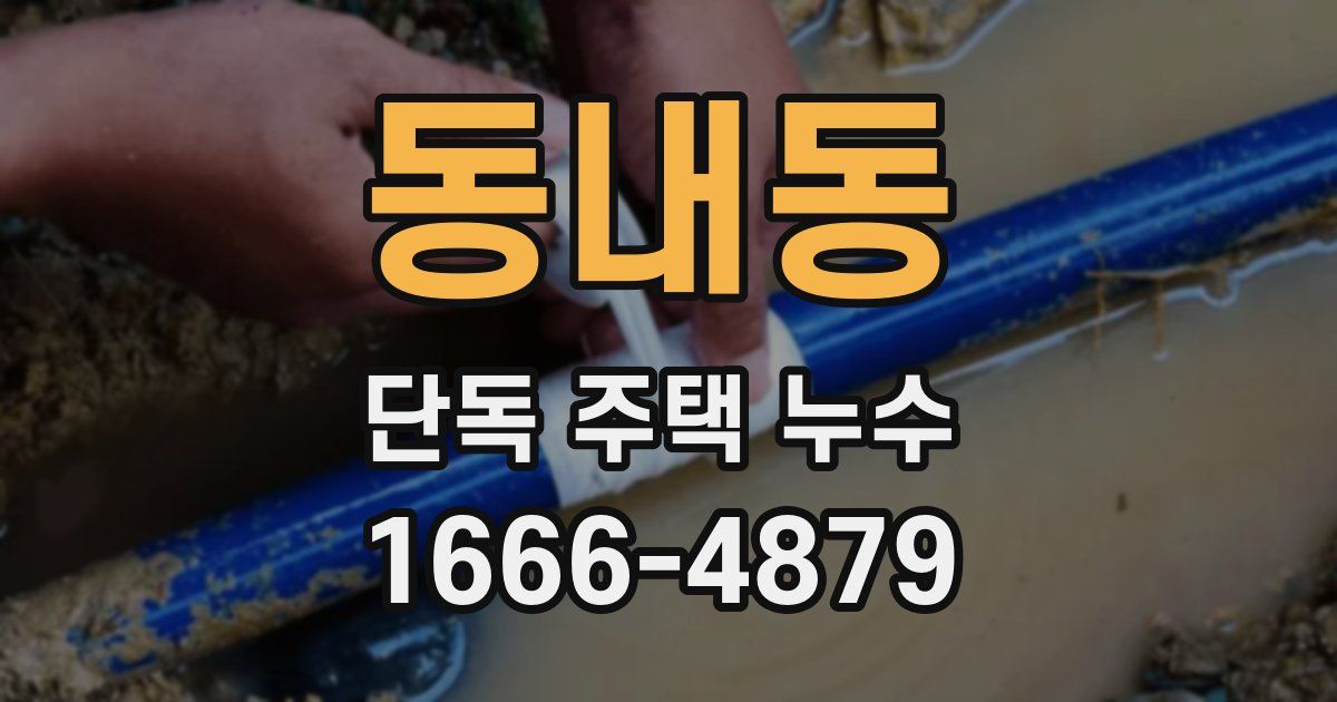 동내동 단독 주택 누수