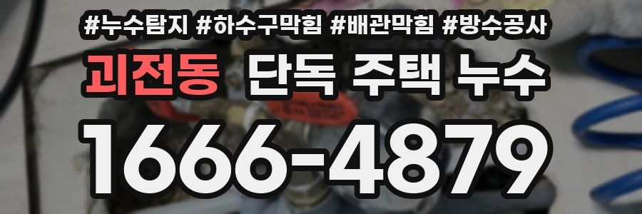 괴전동 단독 주택 누수