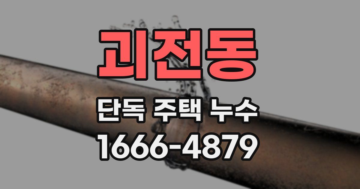 괴전동 단독 주택 누수