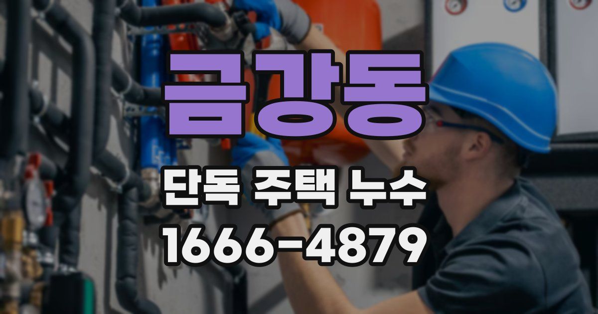 금강동 단독 주택 누수
