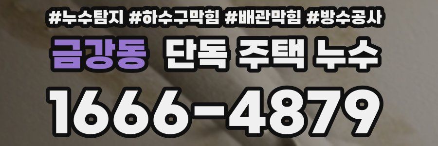 금강동 단독 주택 누수
