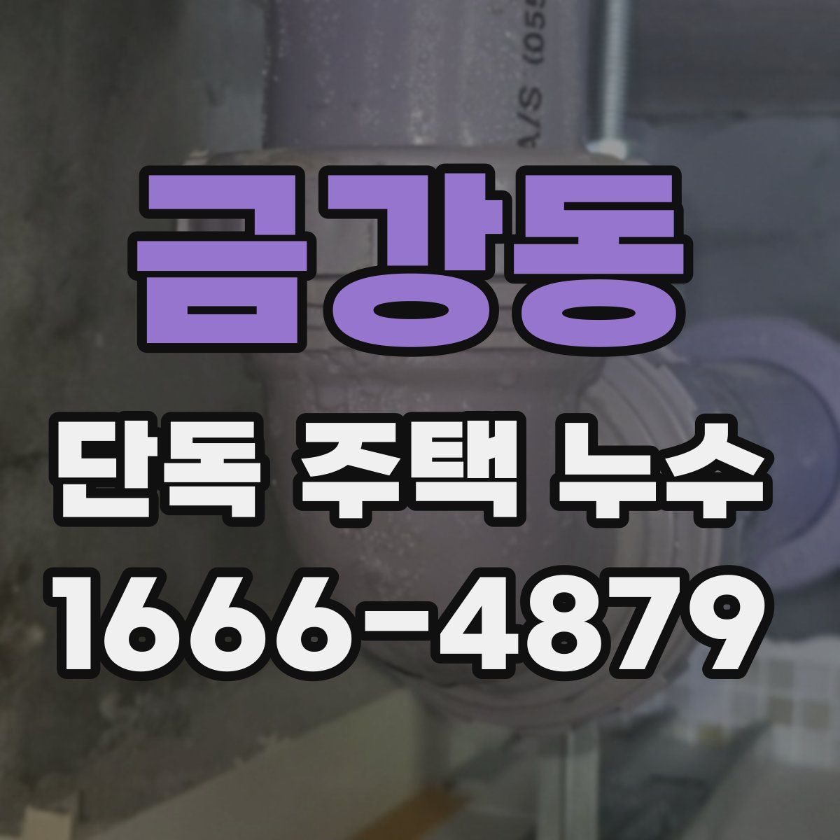 금강동 단독 주택 누수