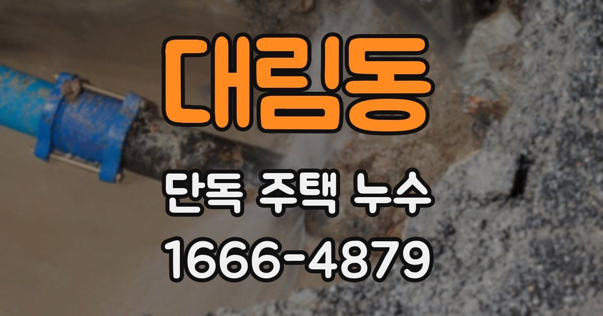 대림동 단독 주택 누수