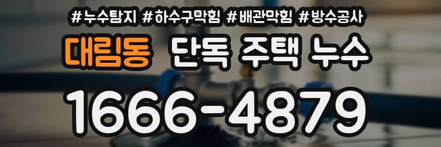 대림동 단독 주택 누수