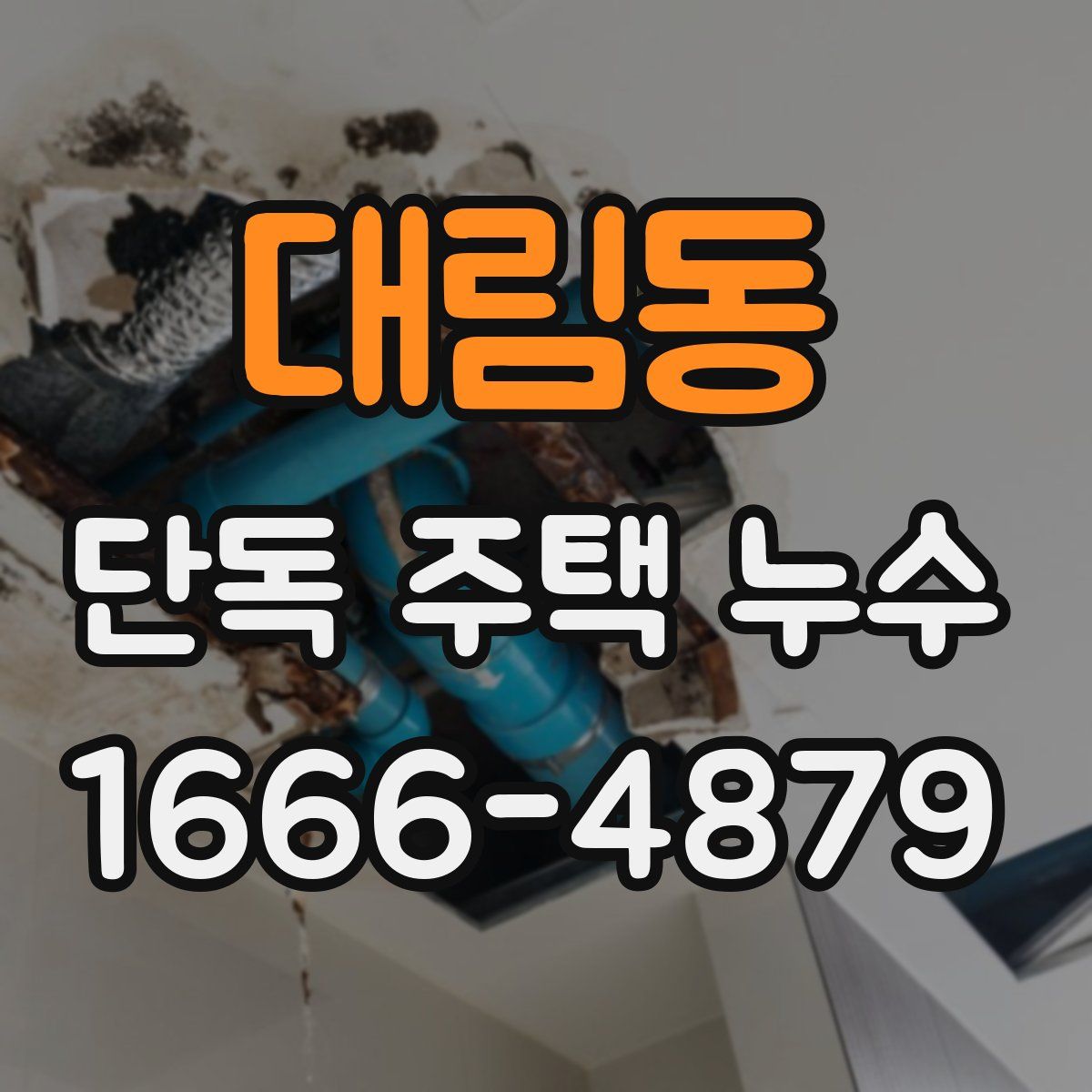 대림동 단독 주택 누수