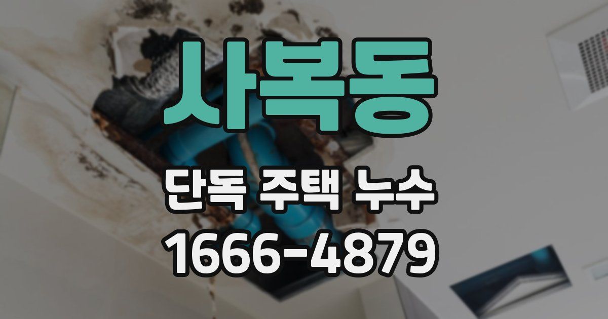 사복동 단독 주택 누수