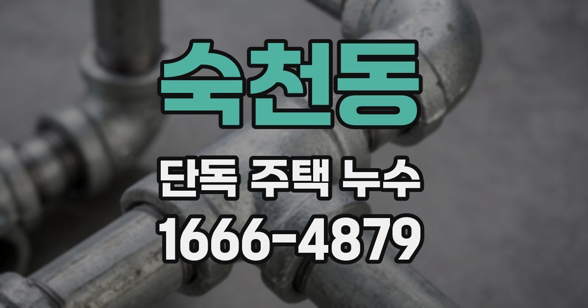 숙천동 단독 주택 누수