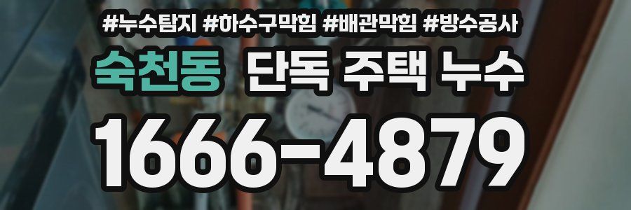 숙천동 단독 주택 누수