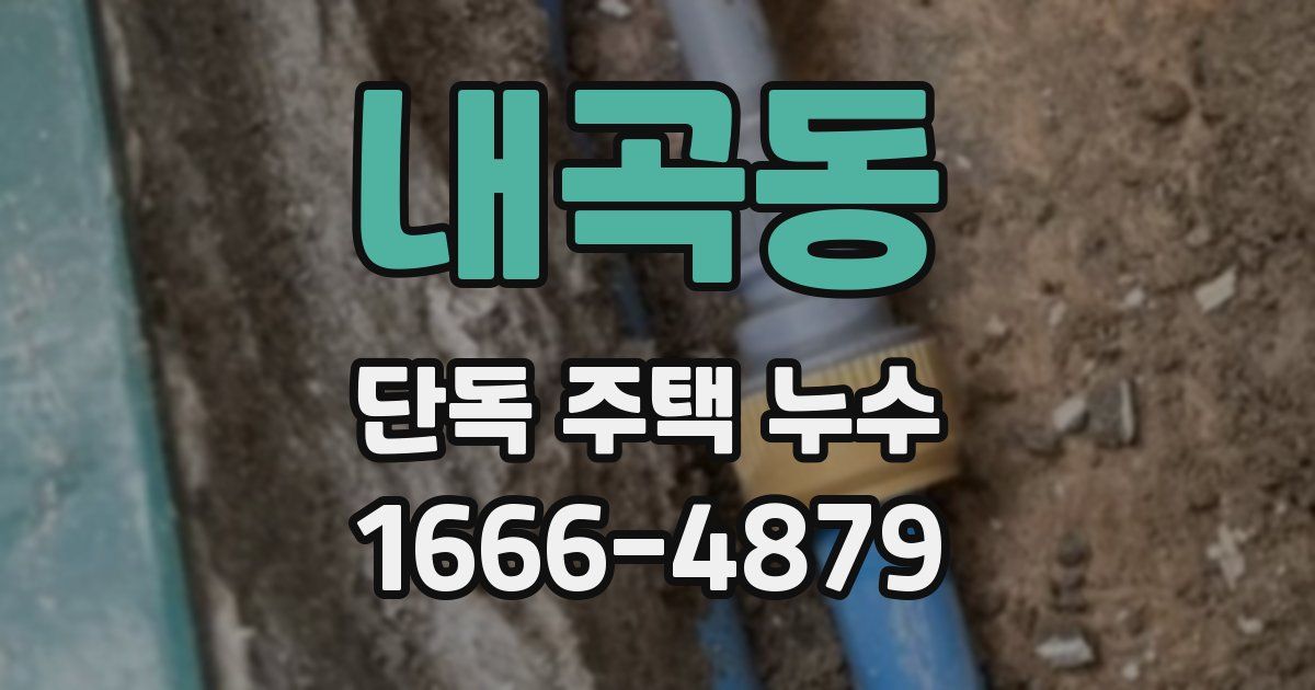 내곡동 단독 주택 누수