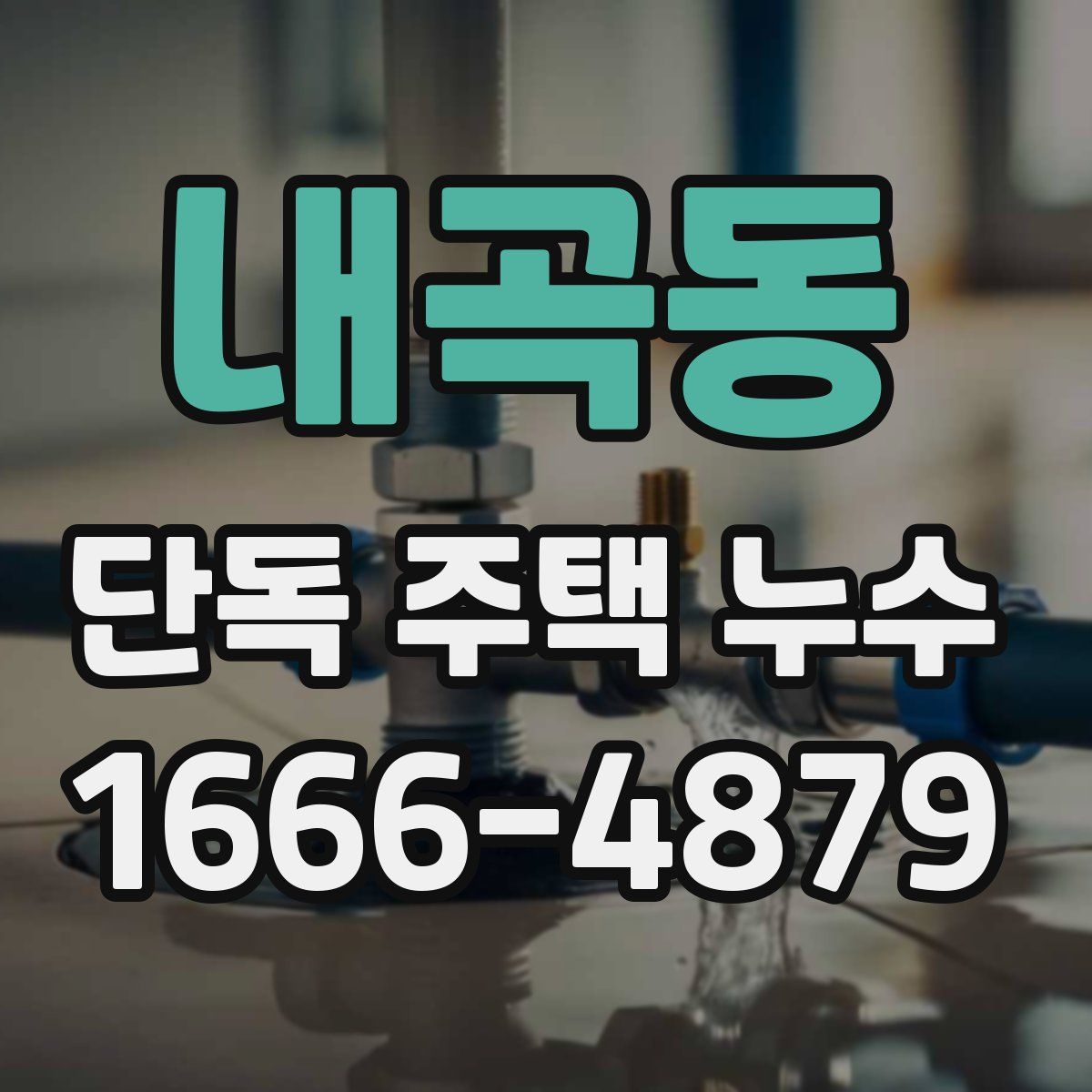 내곡동 단독 주택 누수