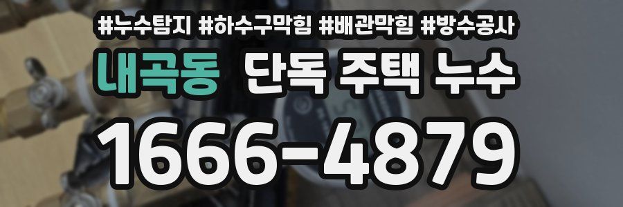 내곡동 단독 주택 누수