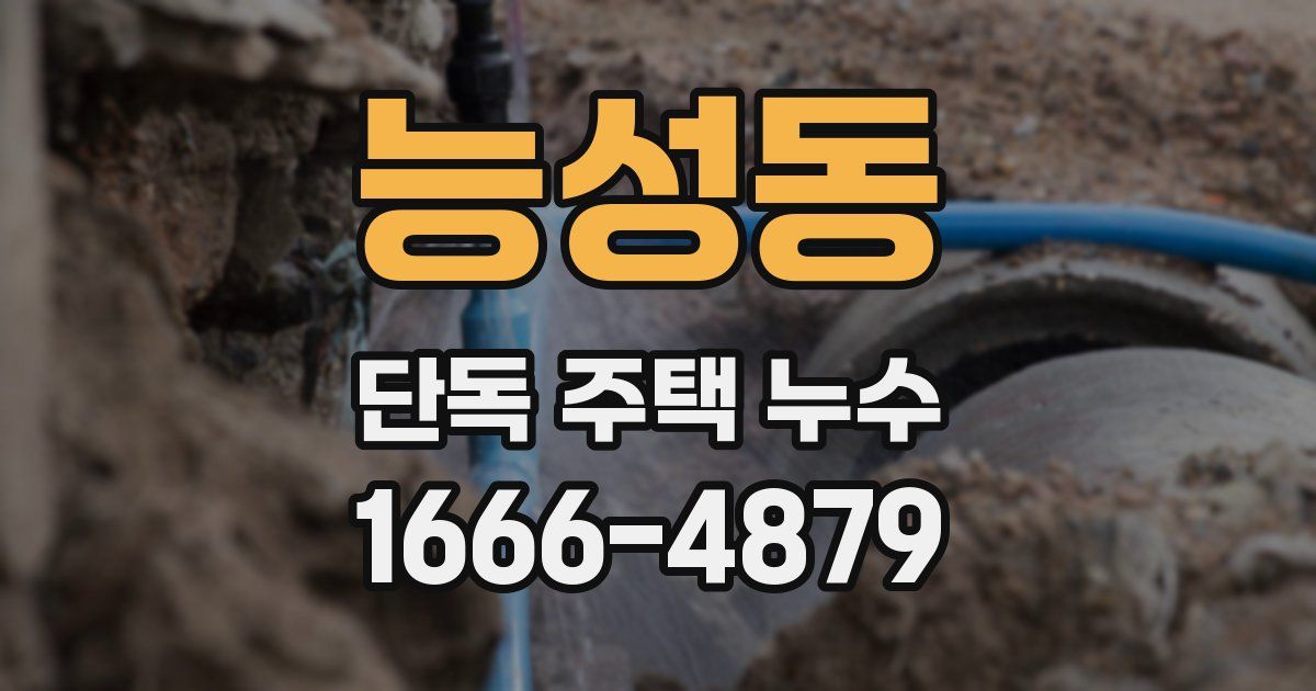 능성동 단독 주택 누수