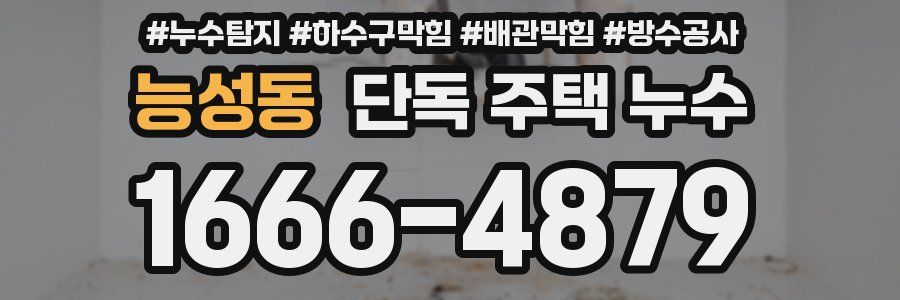 능성동 단독 주택 누수