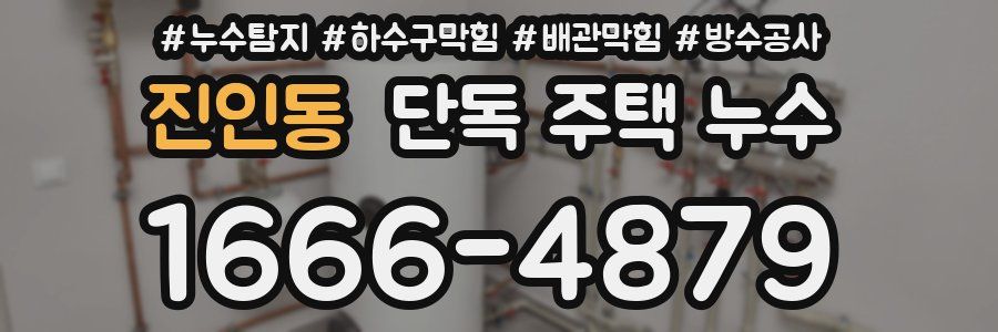 진인동 단독 주택 누수