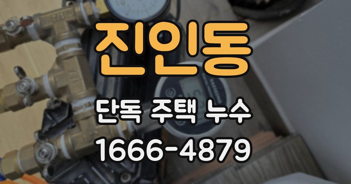 진인동 단독 주택 누수