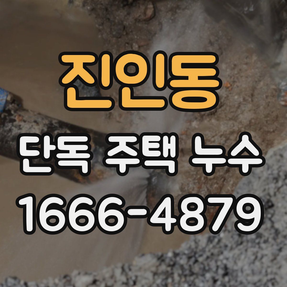 진인동 단독 주택 누수