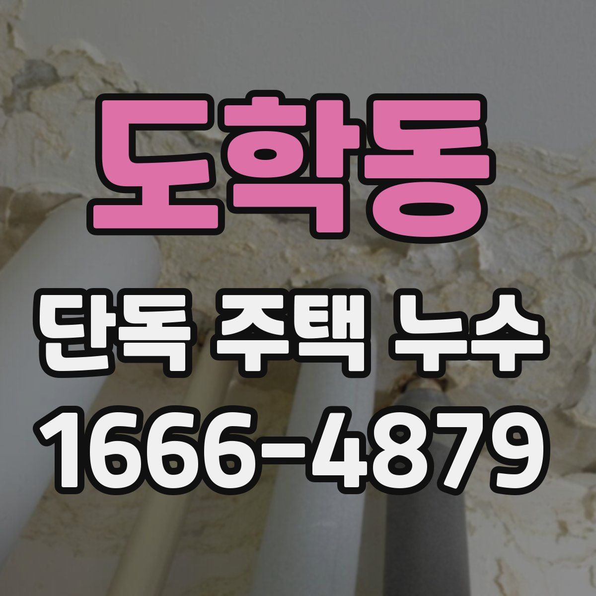 도학동 단독 주택 누수