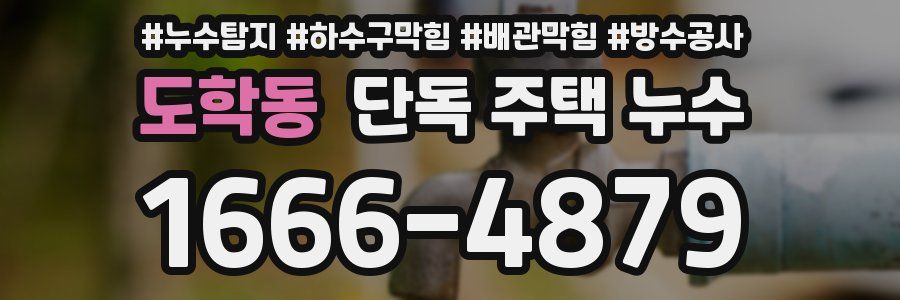 도학동 단독 주택 누수