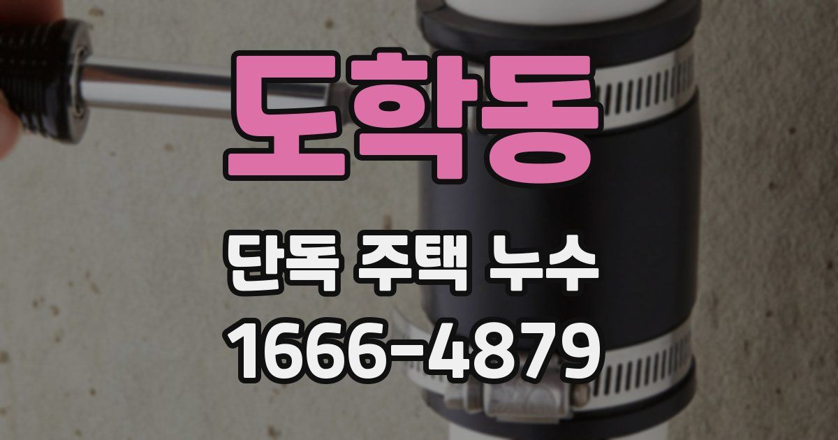 도학동 단독 주택 누수