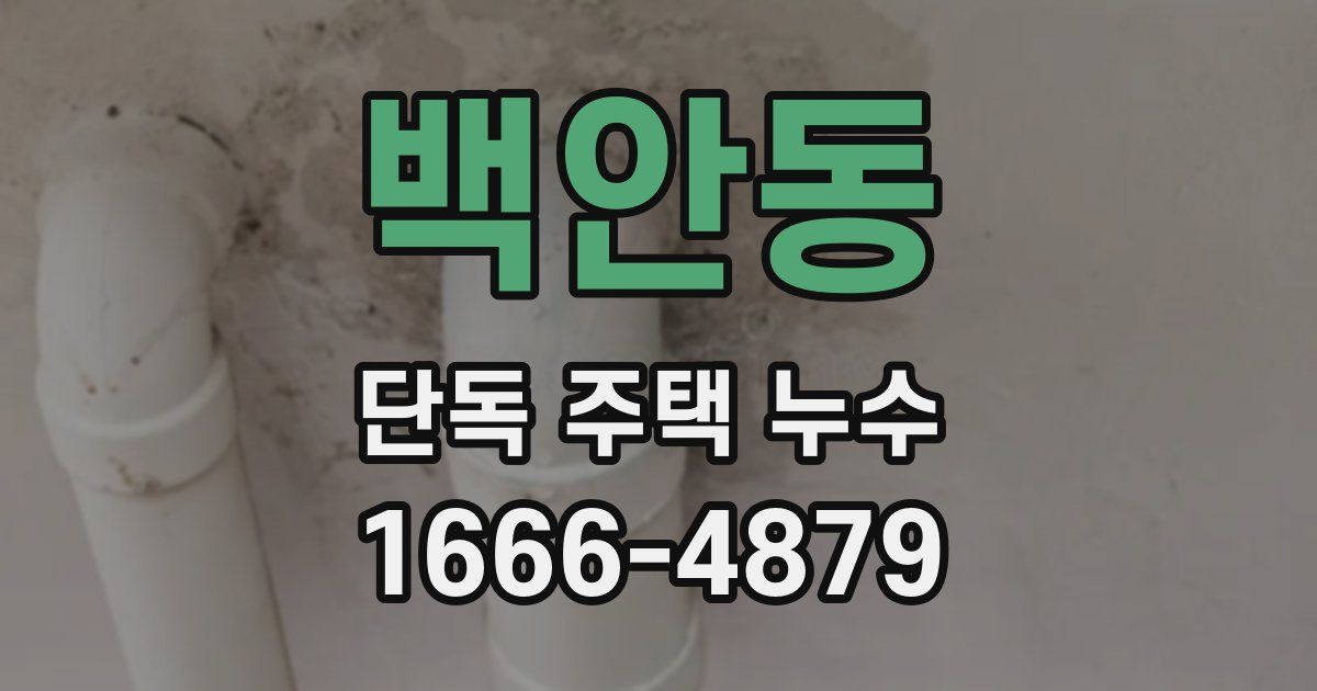 백안동 단독 주택 누수