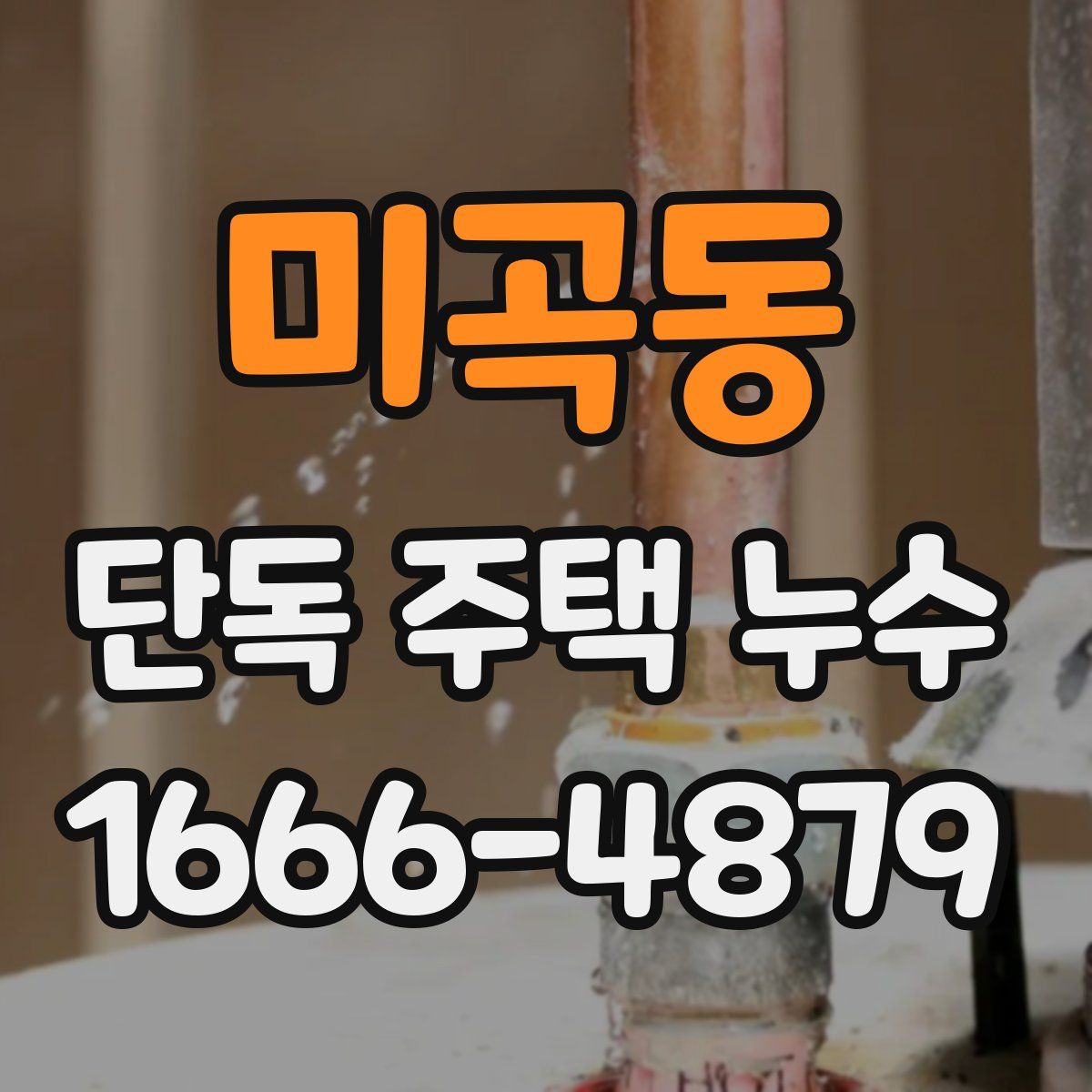 미곡동 단독 주택 누수