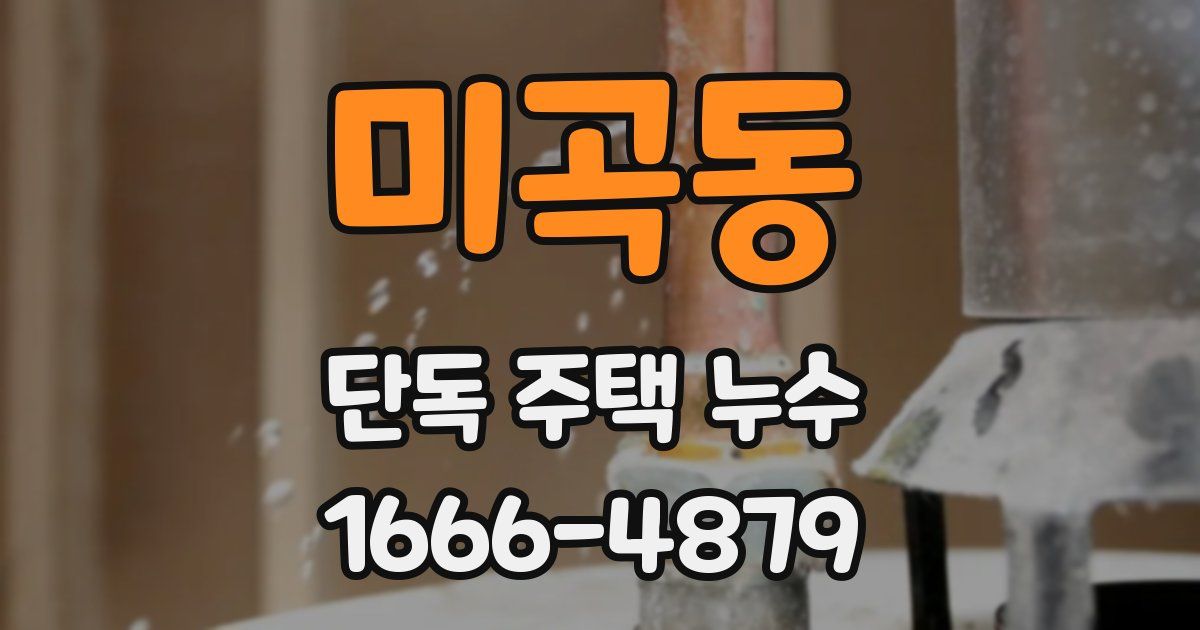 미곡동 단독 주택 누수