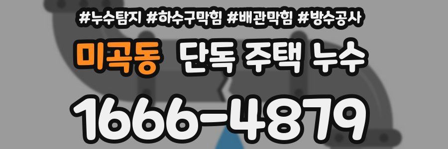 미곡동 단독 주택 누수