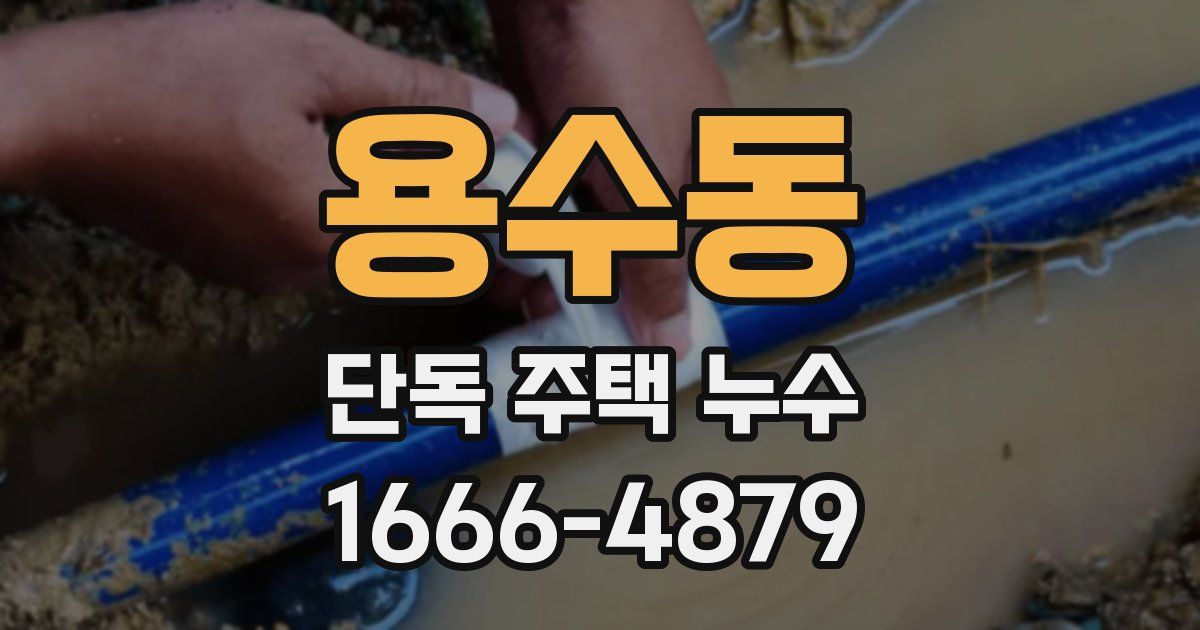 용수동 단독 주택 누수