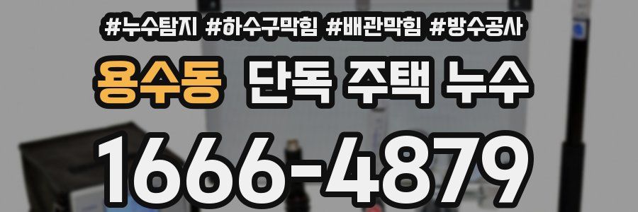 용수동 단독 주택 누수