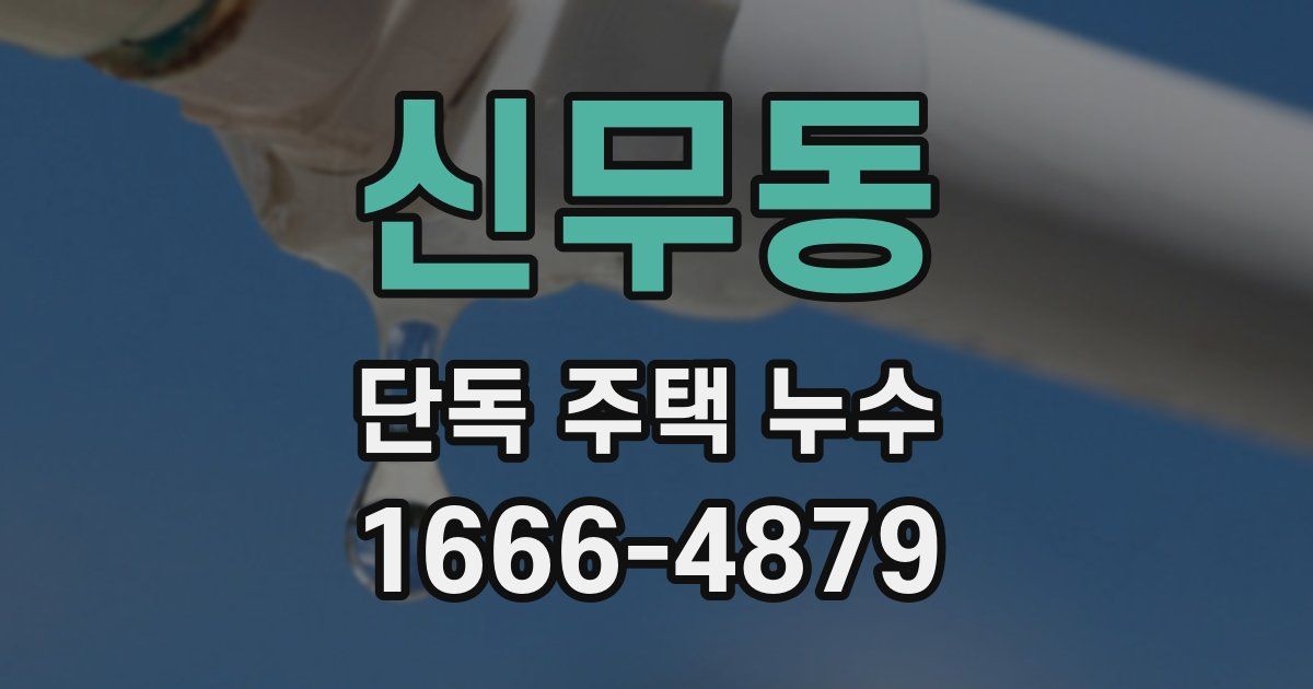 신무동 단독 주택 누수