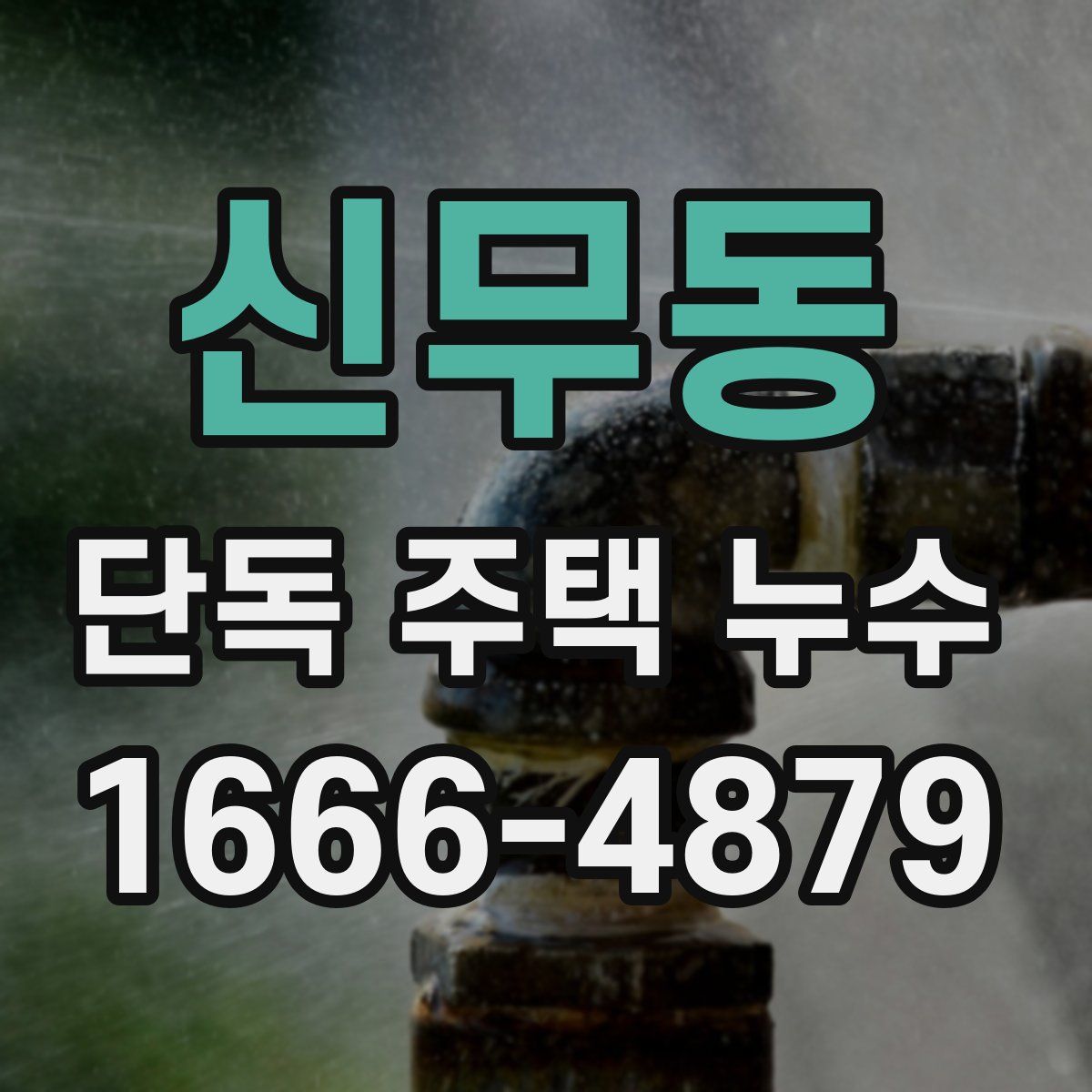 신무동 단독 주택 누수