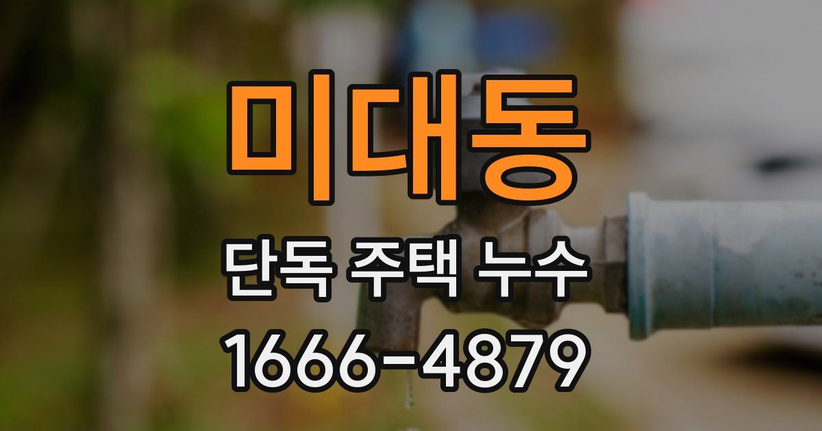 미대동 단독 주택 누수