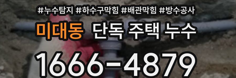 미대동 단독 주택 누수