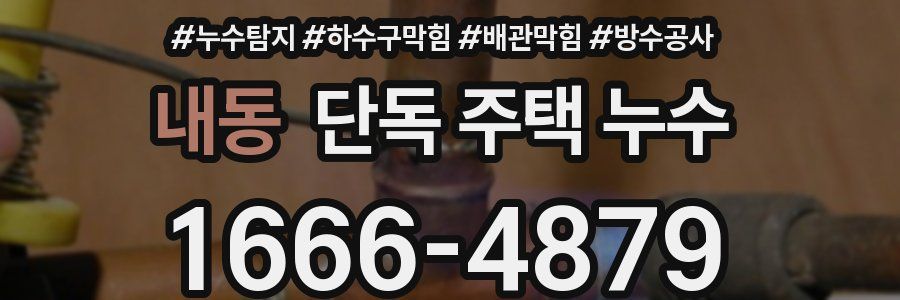 내동 단독 주택 누수