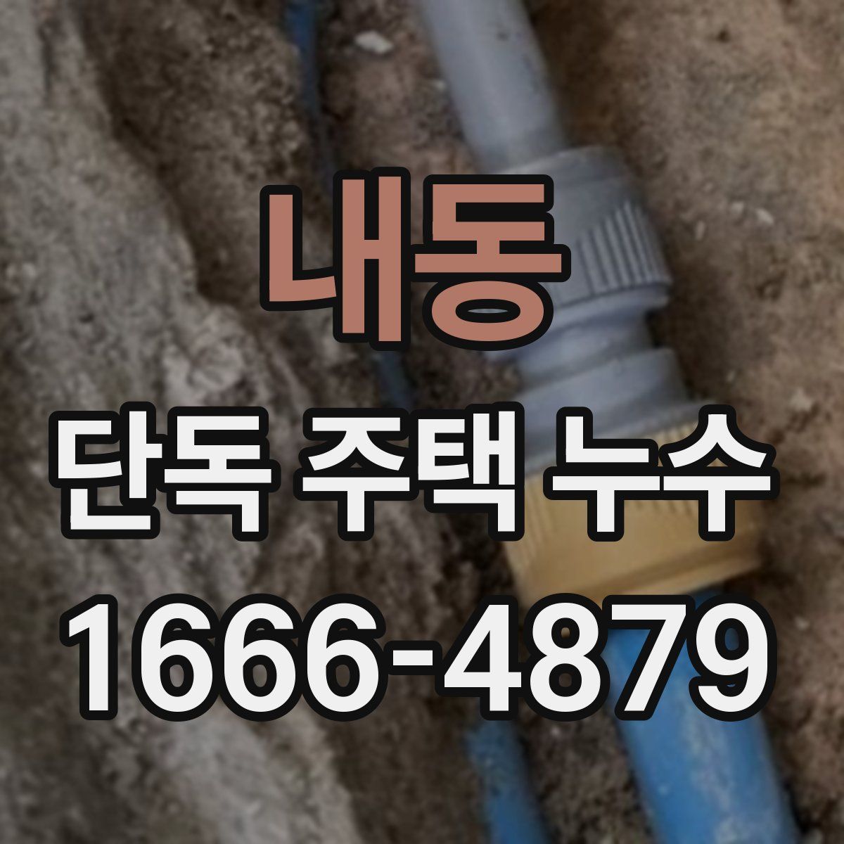 내동 단독 주택 누수
