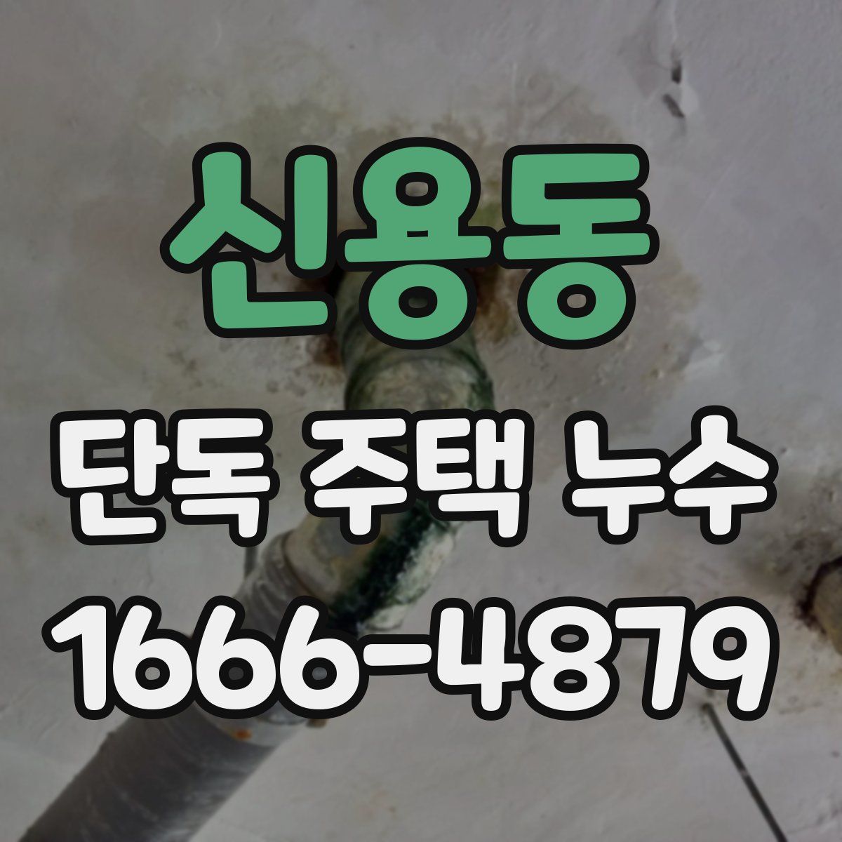 신용동 단독 주택 누수