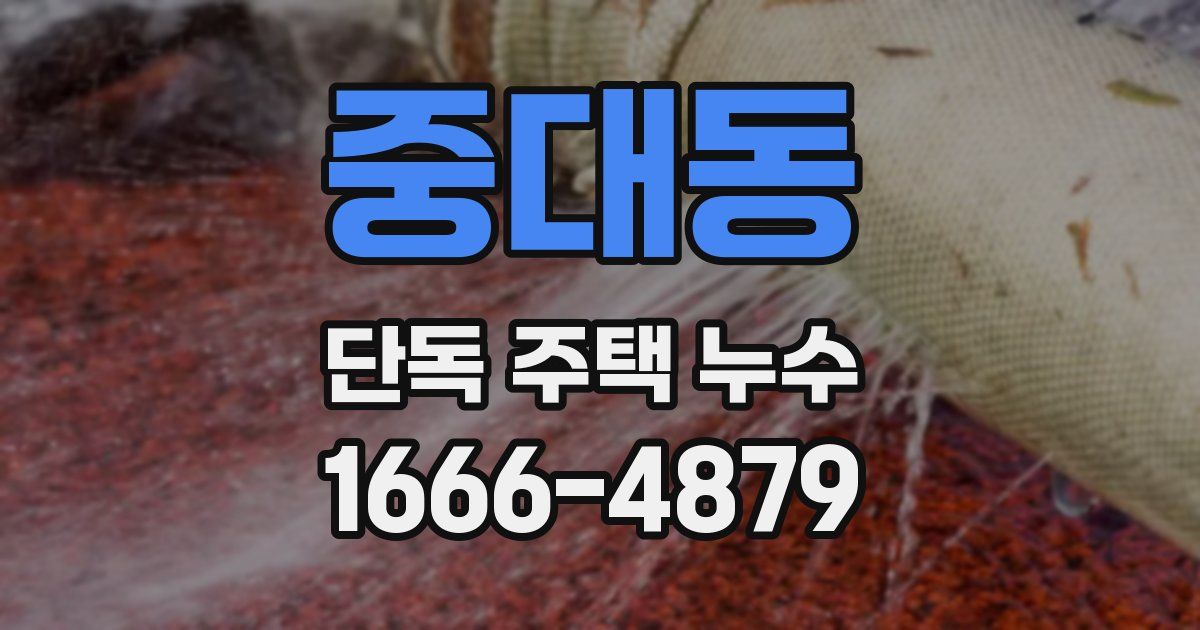 중대동 단독 주택 누수