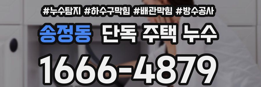 송정동 단독 주택 누수