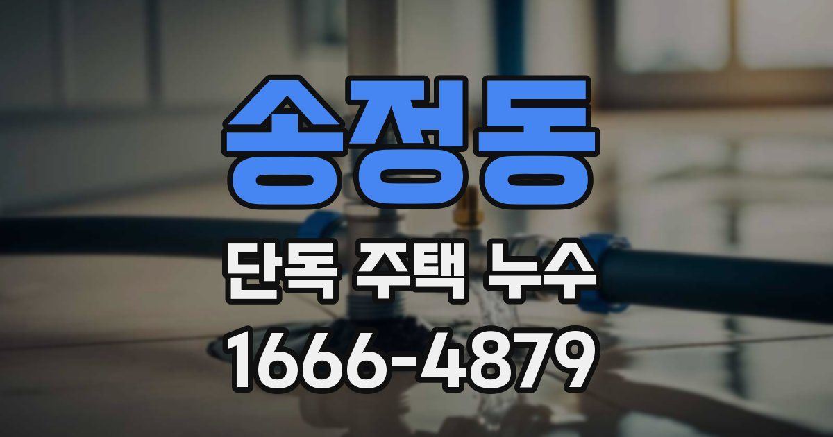 송정동 단독 주택 누수
