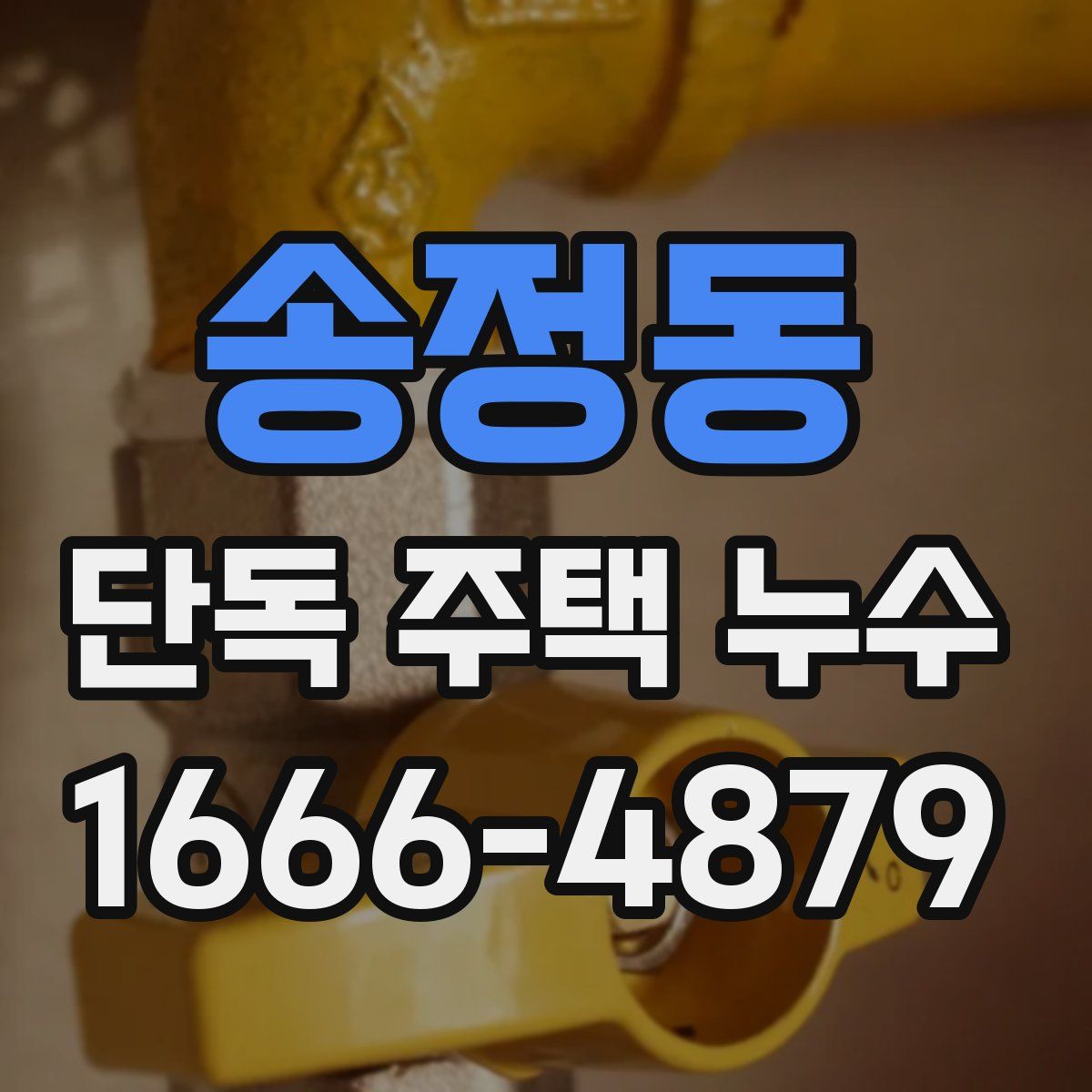 송정동 단독 주택 누수