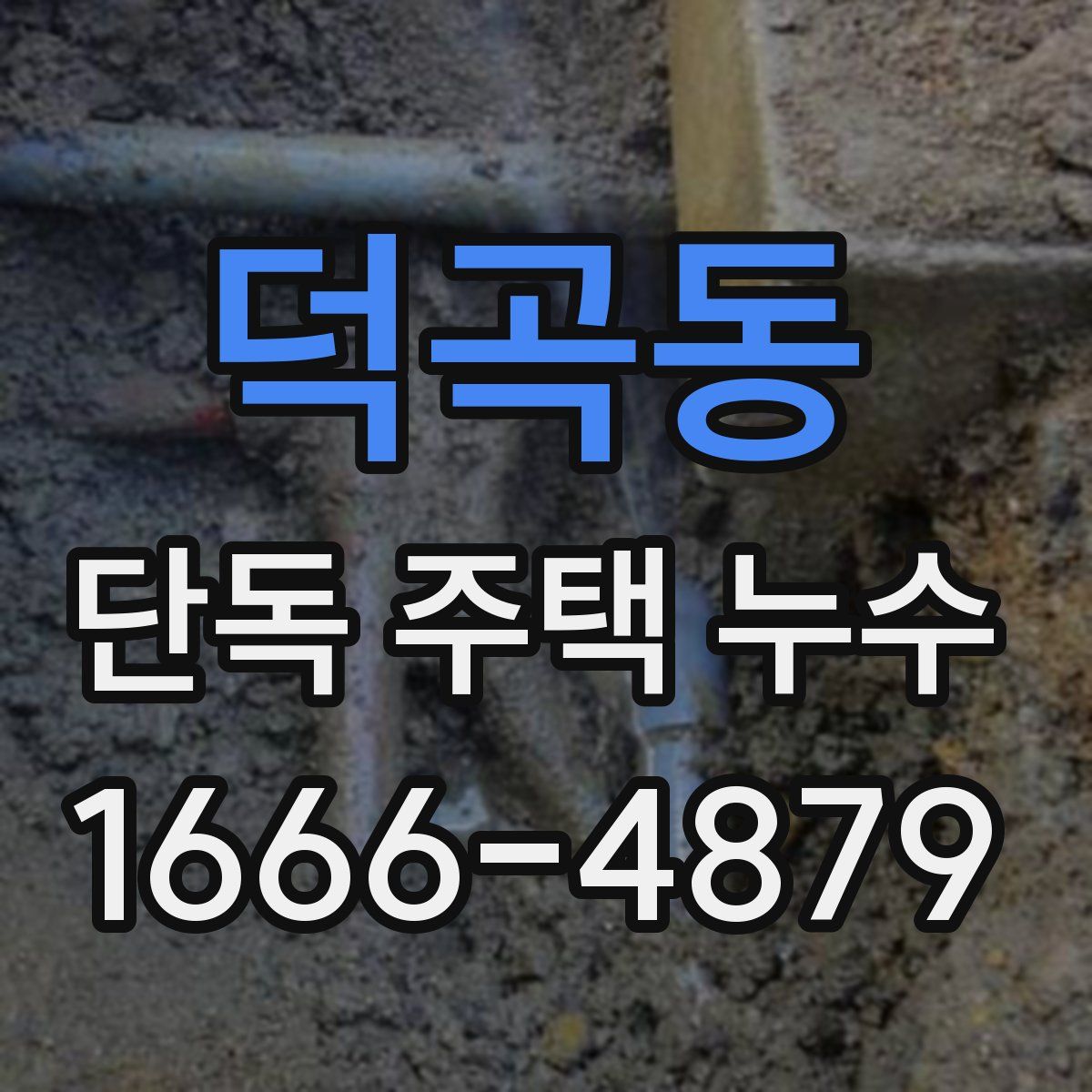 덕곡동 단독 주택 누수